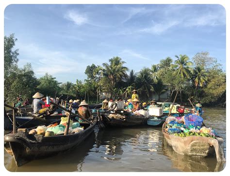 Floating Markets of Phong Nha-Ke Bang: A Journey Through Time and Culinary Delights!